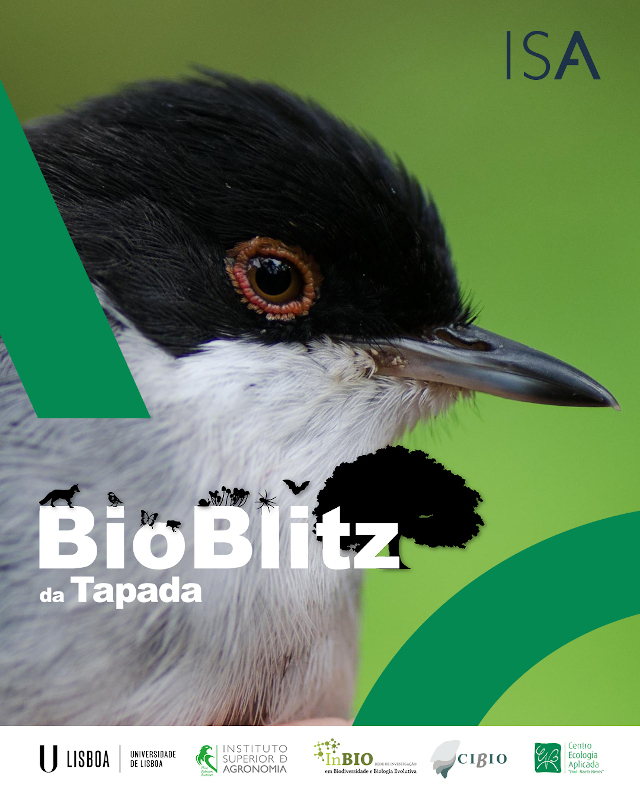 bioblitzcartaz