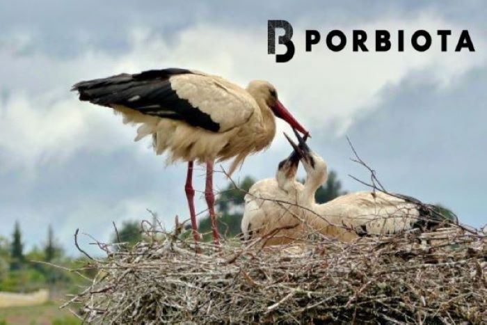 Porbiota imagem