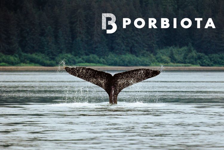 Porbiota imagem