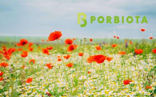 Porbiota