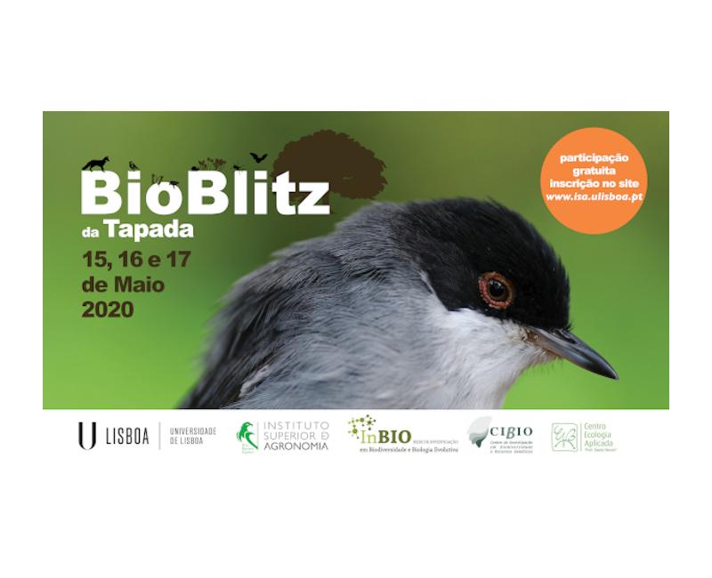 logo bioblitz