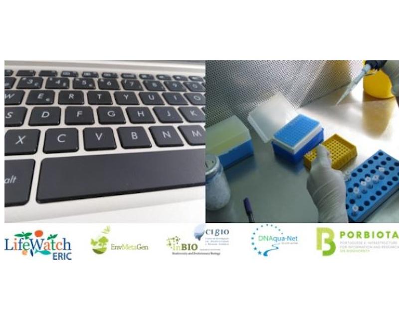 Bioinformatic_MN_Vsite