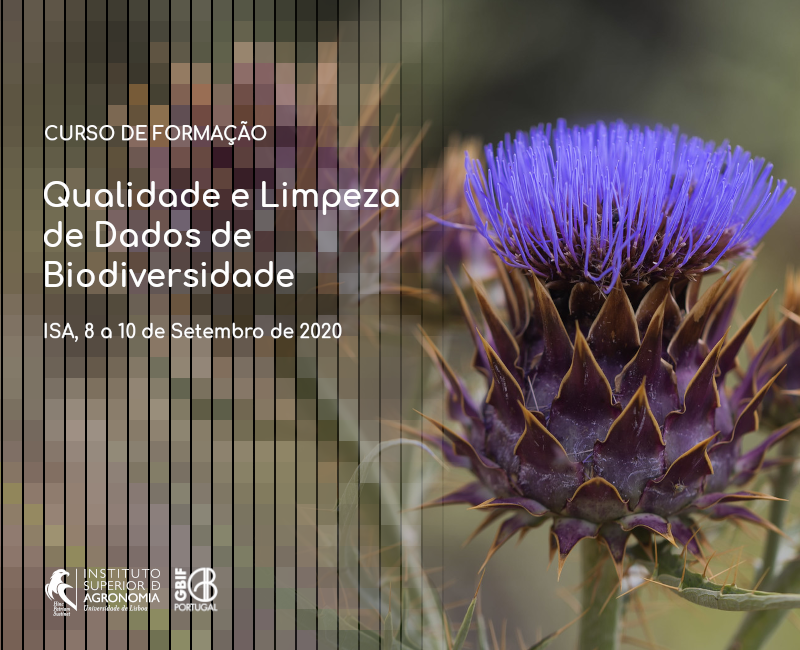 cartaz do curso