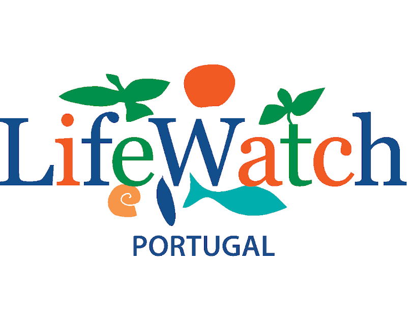 logo LW-PT