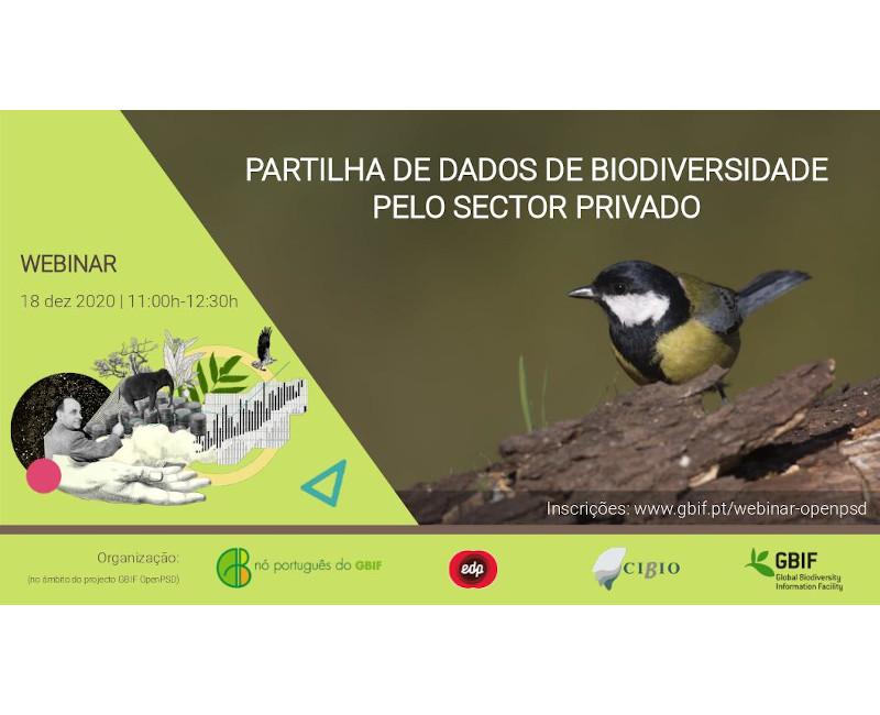 webinar