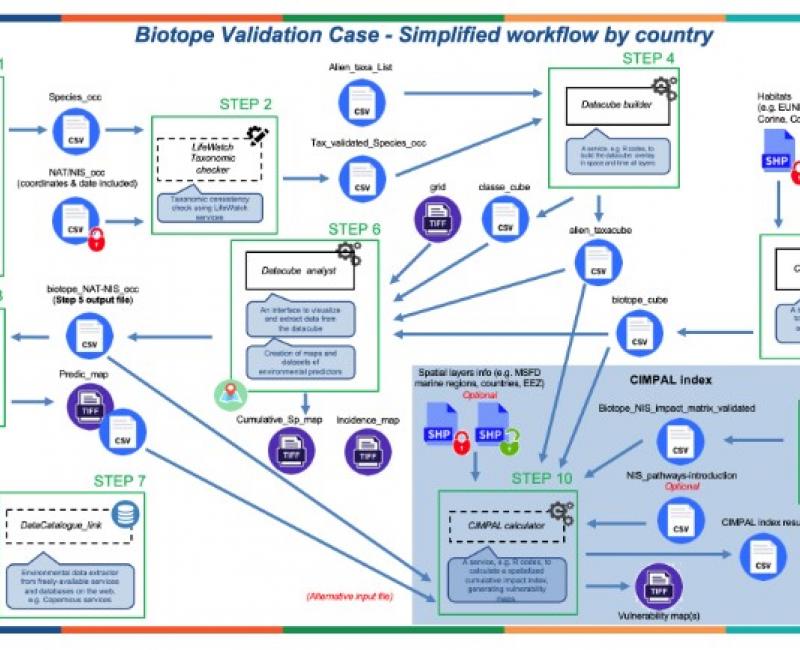 Biotope workflow